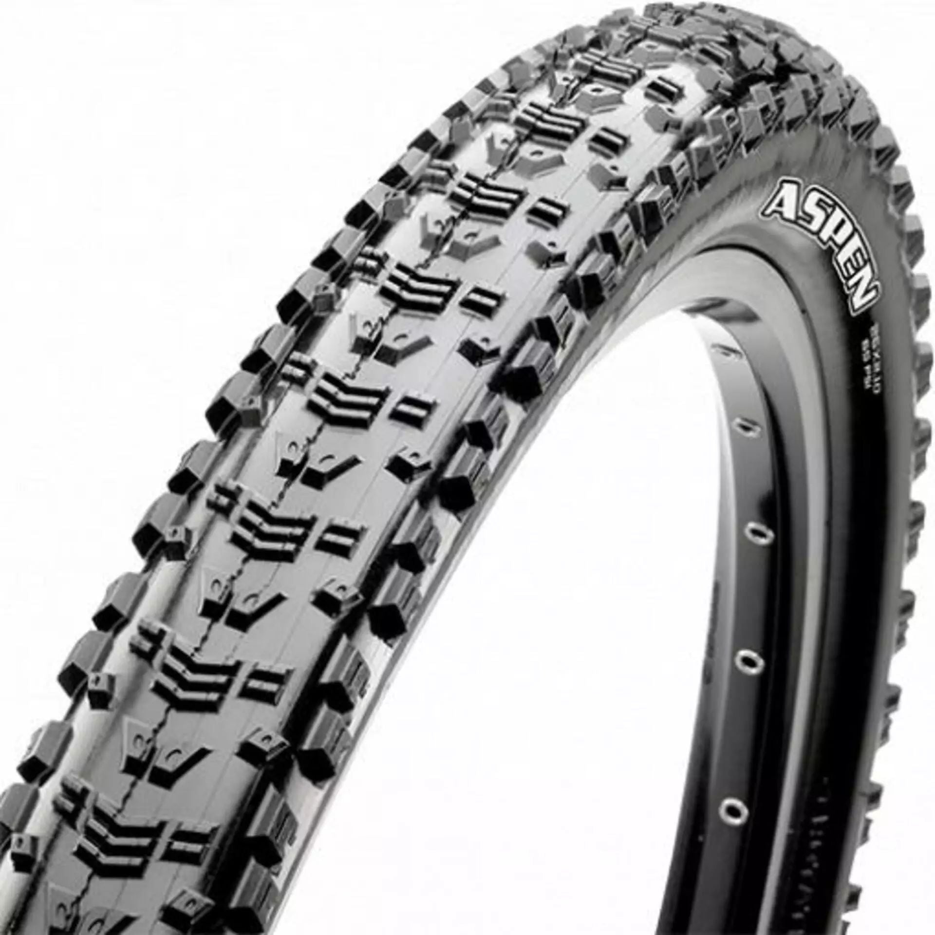 Maxxis Aspen EXO/TR/Maxxspeed 120TPI 29x2.40WT maastorengas