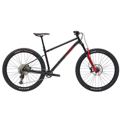 Marin El Roy 2022